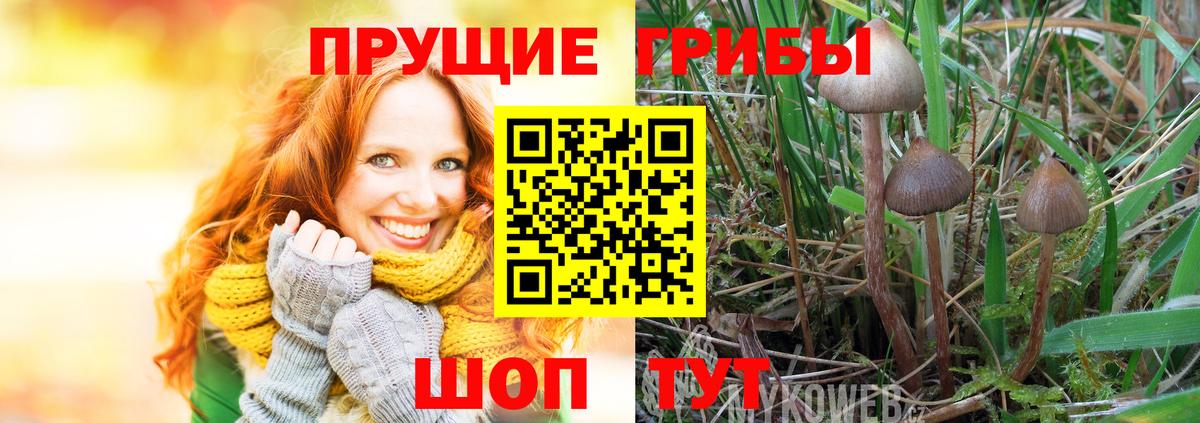 Псилоцибиновые грибы Psilocybine cubensis  Псилоцибиновые грибы Psilocybe  Вход с VPN  наркошоп  Гурьевск 