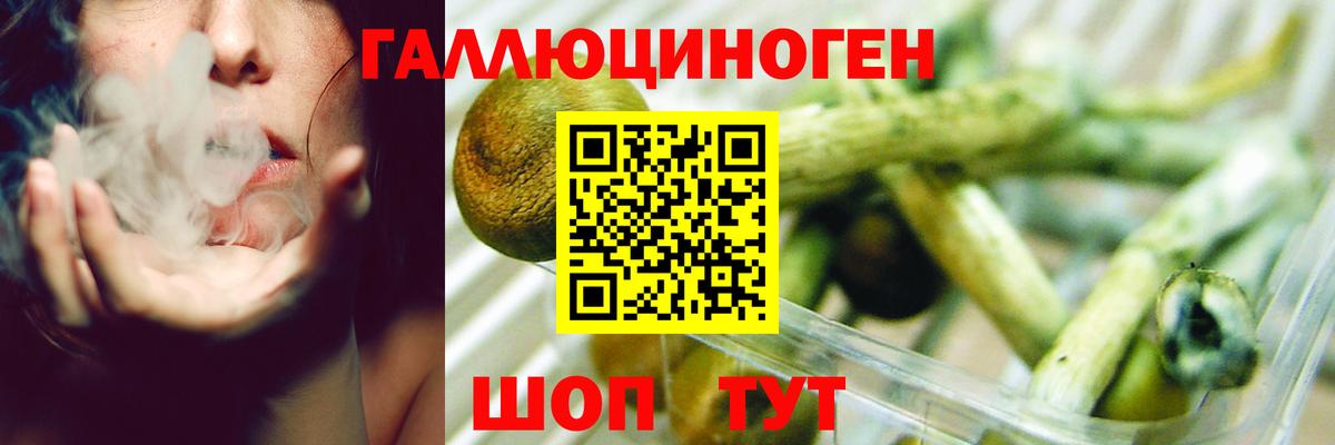 Галлюциногенные грибы Magic Shrooms Гурьевск